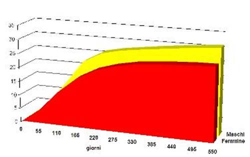 grafico crescita cucciolo di taglia media