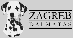 www.zagrebdals.com