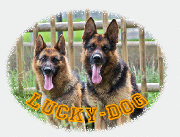 www.lucky-dog.it/