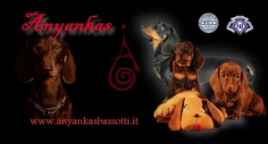 www.anyankasbassotti.it