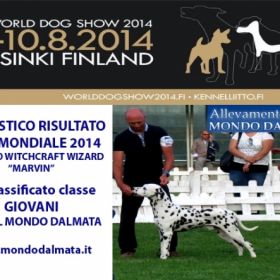 WORLD DOG SHOW 2014 HELSINKI