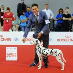 World Dog Show 2015 - MILANO