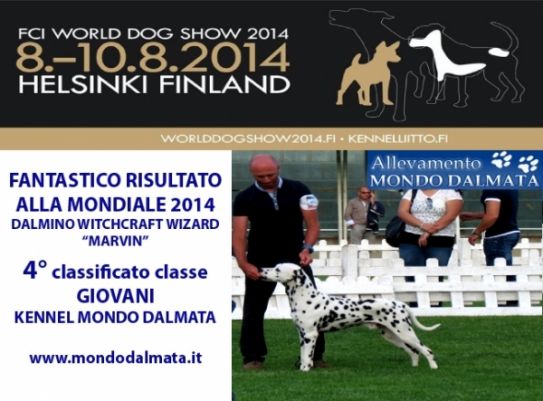 WORLD DOG SHOW 2014 HELSINKI