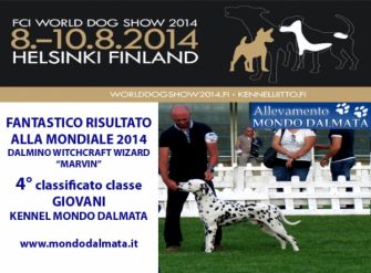 world dog show 2014